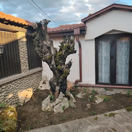 бащин дом Penzion *